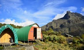 Mountain Rwenzori National Park hosts a population of around 70 Mammal species, with even the six species which are endemic to Albertine Rift and even the four species which are endemic to the park and three are rare species.
