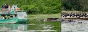 The Kazinga channel is about 37km long from Lake Gorge to Lake Edward. It has the perfect view of the park's major wildlife.