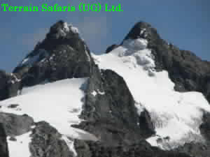 The Park protects 217 species of birds and these include 17 Albertine Rift endemic species. The forest zone contains a diversity of birds including the Rwenzori Turaco, Handsome Francolin, Barred Long-tailed Cuckoo, Blue-headed Sunbird, Long-eared Owl as well as Cinnamon-chested Bee-eater, Rwenzori Batis, Archers’ Robin-chat, White-starred Robin