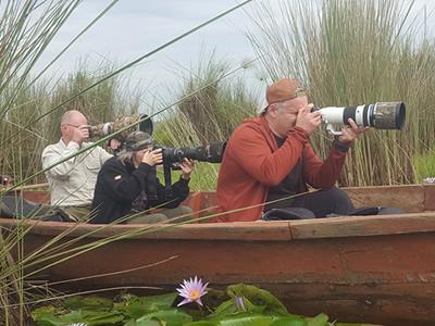Uganda Birding Tours - Mabamba Shoebill Excursions - Birding Photography Tours - www.terrain-safaris.com